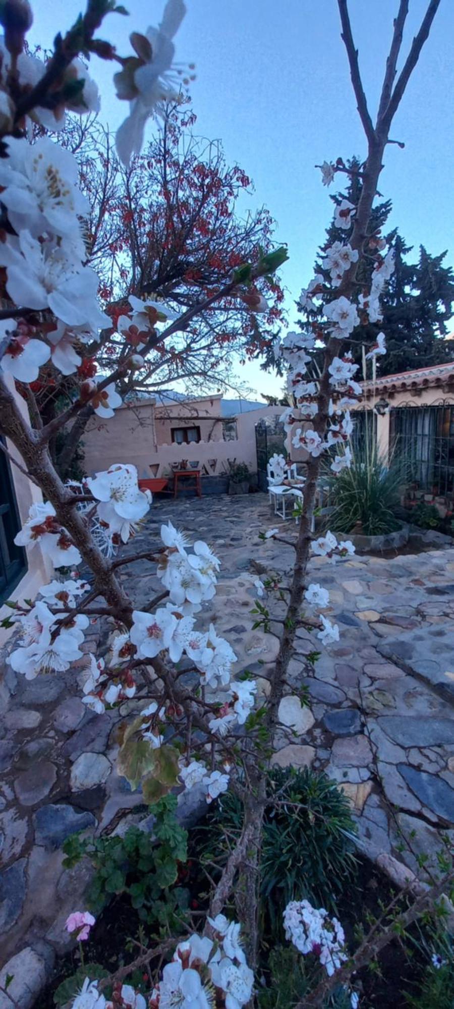 Los Arcabuceros Casa Hotel Boutique Tilcara Exteriör bild