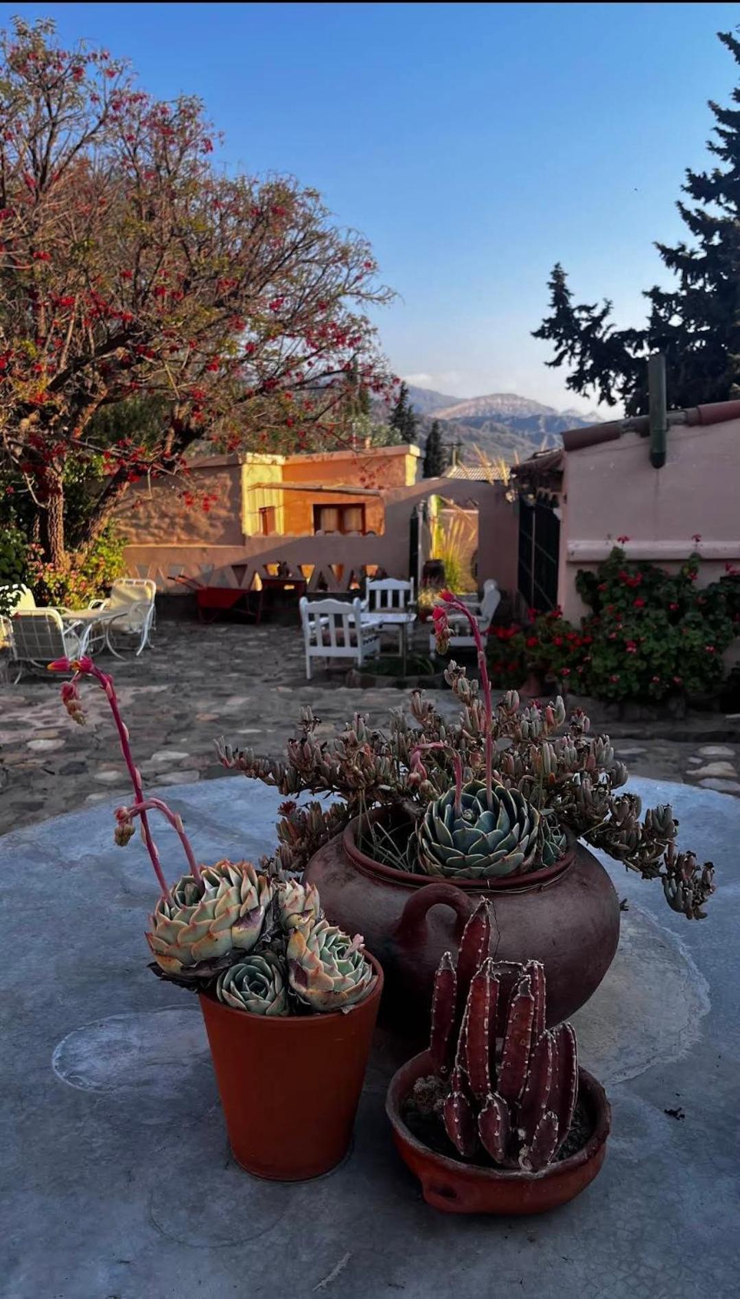 Los Arcabuceros Casa Hotel Boutique Tilcara Exteriör bild